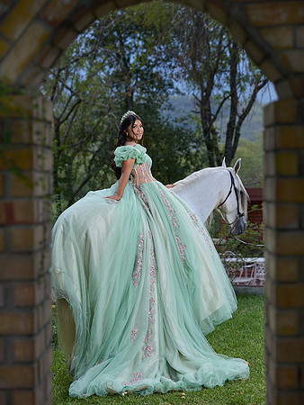 #27145 SARA SOFÍA ( XV SWEET FORMAL CASA DEL RETRATO)_BAM2028