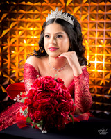 #25660 ALMA ANDRE (XV)-8333