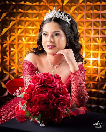 #25660 ALMA ANDRE (XV)-8333