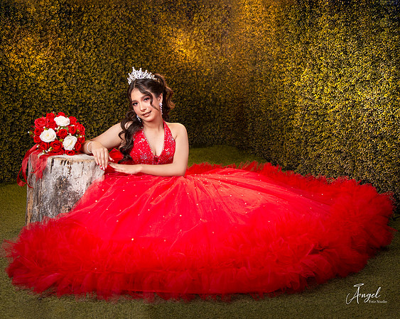 8X10 #27794 DANIELA CAVAZOS (XV FORMAL)-1866