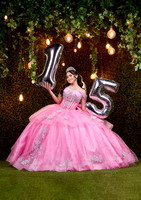 6X8.5 #27694 SANDRA MARIA PEREZ_AHV0384