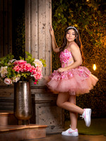 6X8 #27662 MARTHA AREMNDARIZ (XV FORMAL)-8305