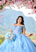 6X8.5 #27739 ABIGAIL JIMENEZ_AVL6117