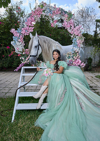 #27145 SARA SOFÍA ( XV SWEET FORMAL CASA DEL RETRATO)_BAM2057