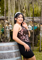 6X8.5 #27739 ABIGAIL JIMENEZ_AVL6270