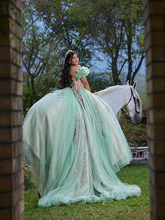 #27145 SARA SOFÍA ( XV SWEET FORMAL CASA DEL RETRATO)_BAM2031