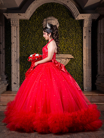 6X8 #27794 DANIELA CAVAZOS (XV FORMAL)-1920