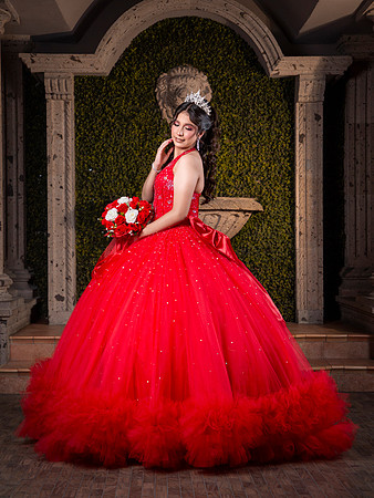 6X8 #27794 DANIELA CAVAZOS (XV FORMAL)-1923