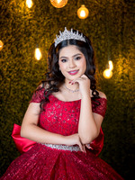 #25660 ALMA ANDRE (XV)-8367