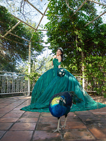 #2727 JESSICA LILIANA (FORMAL)-8852