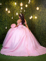 #25614 MARIA GASPAR (XV) -9991