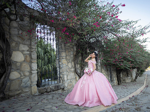 #25040 MARIA DE LOS ANGELES RDZ (FORMAL)-6961