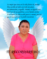 PARA DALIA_SEÑORA CON ALAS - copia