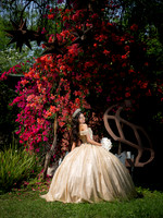 CRISTINA ELIZABETH #25729 (XV) FORMAL