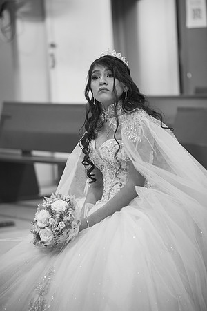 _MG_0546