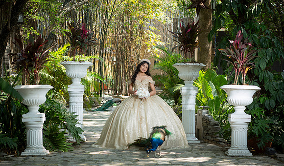 #25729 CRISTINA ELIZABETH-4405