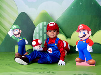 MARIO BROS