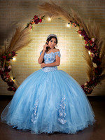 SANTOS ALEJANDRA #25914-0533