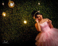 8x10 #26306 ROSA CECILIA-8358