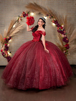 03 AGOSTO 2024 ELIZABETH ROMERO #25148 XV-9539