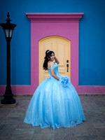 #25971 REYNA HDZ (XV) -8220