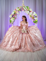 14 NOVIEMBRE 2024 ISABEL CATALINA #24906-2814