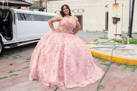 #1317  LETICIA NAVARRO 10 SEPTIEMBRE