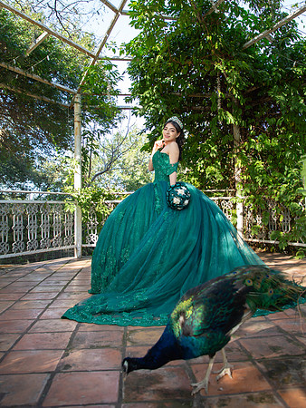 #2727 JESSICA LILIANA (FORMAL)-8850
