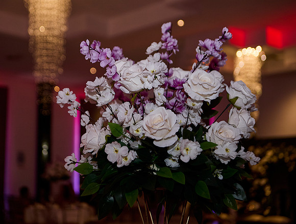 _MG_6599 (1)
