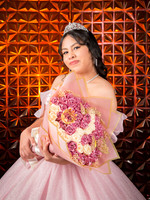 #25157 BLANCA GUADALUPE (XV) ISAAC-8100