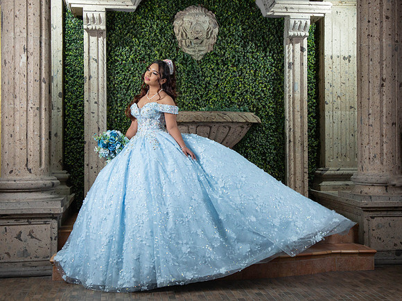 #26054 BEATRIZ CARREON (XV)-7940