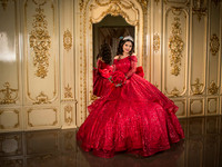 #25660 ALMA ANDRE (XV)-8301