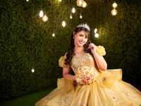 CLAUDIA ELIZABETH #25728 (XV FORMAL)