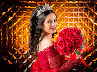 #25660 ALMA ANDRE (XV)-8338