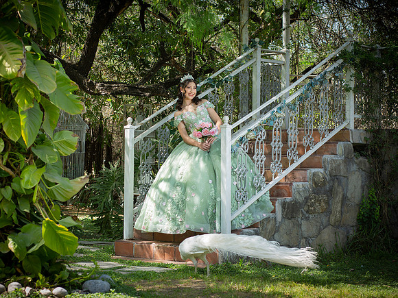 #26192 MARIANA MTZ CELIS-3566