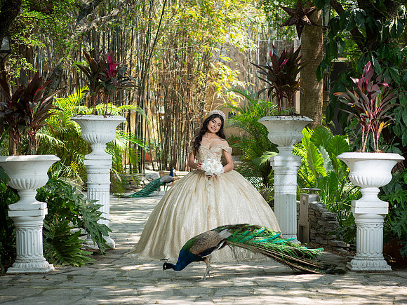 #25729 CRISTINA ELIZABETH-4409