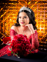 #25660 ALMA ANDRE (XV)-8333