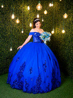 #24800 OLIVIA GUERRA (XV-9900