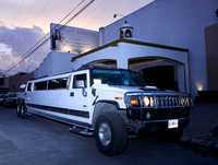 _MG_6559 (1)